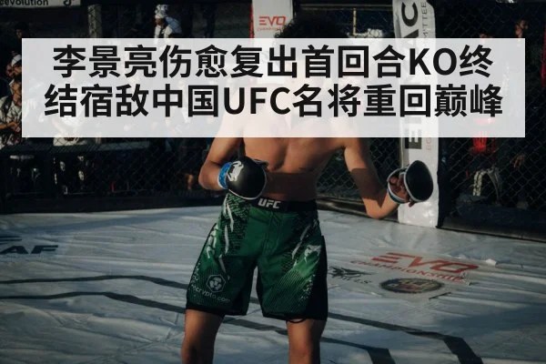 UFC octagon fight