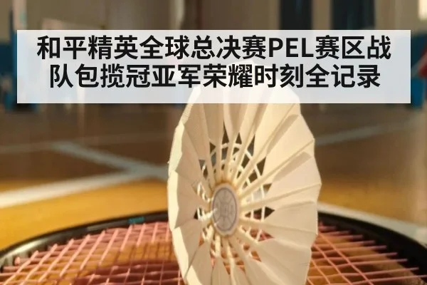 和平精英全球总决赛PEL赛区战队包揽冠亚军荣耀时刻全记录
